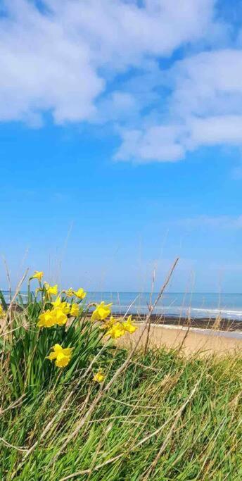 Herne Bay Central - 2 Minutes From Beach Apartment Exterior foto