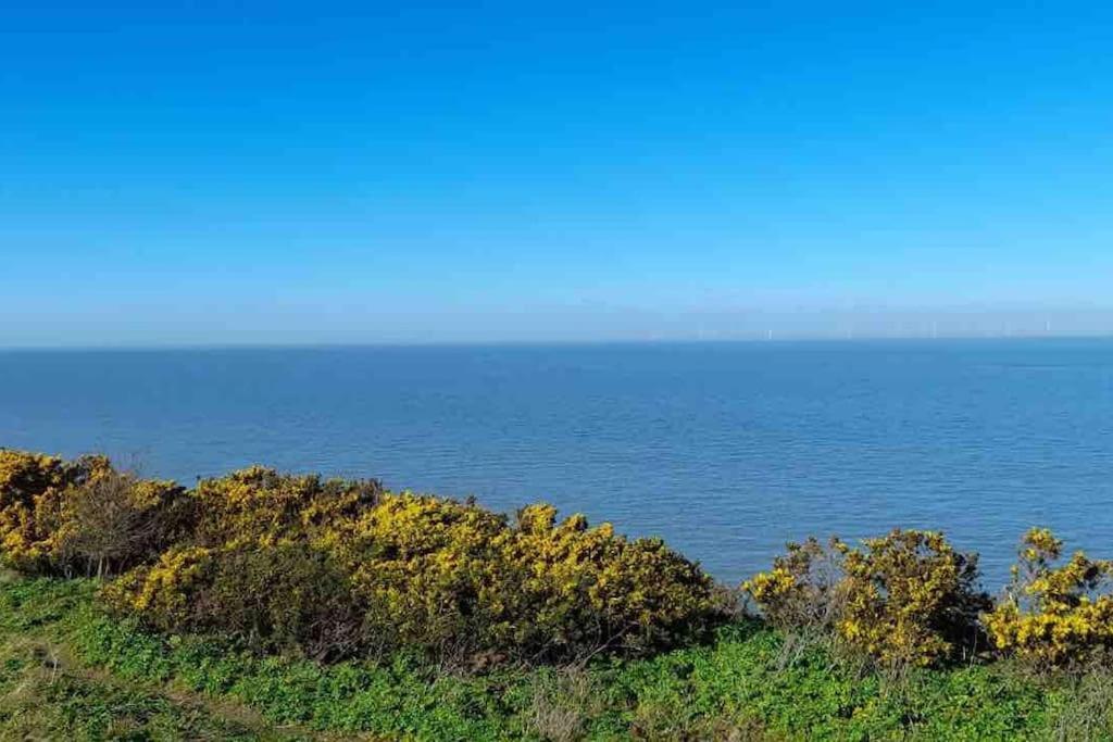 Herne Bay Central - 2 Minutes From Beach Apartment Exterior foto
